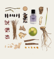 Saint Remy extrait de parfum 100 ML - fugazzi | Jil Conceptstore